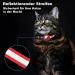 Mouyou Airtag Cat Neck Band Reflective Adjustable Nylon Collar with Bell & Safety Clasp | Safe Tracking for Cats (22-34cm Red) - Buy Online on GoSupps.com