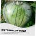 Gadpiparty Vegetables Fruit Growing Heart Mould Watermelon Grow Mold Cooking Utensils Modeling Ginseng Fruit 17x17cm Transparent - Buy Online on GoSupps.com