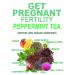 Organic Fertility Tea with Chasteberry & Red Raspberry Leaf | Aid Conception, Ovulation, Menstrual Cycles | 40 Cups, 1 Pack - Buy Online on GoSupps.com