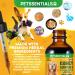 Kidney Support for Dogs 60ml | Premium Herbal Supplement to Enhance Kidney Function | Urinary Health & Bladder Support | Promotes Vitality Fluid Balance & Healthy Appetite | Natural Ingredients - Buy Online on GoSupps.com