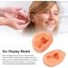 Silicone Human Artificial Ear Model for Hearing Aids and Earphones Display - Buy Online on GoSupps.com