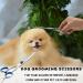Premium Dog Scissors | Stainless Steel Grooming Scissors for Dogs & Cats | Safety Round Tip Dog Hair Scissors - Buy Online on GoSupps.com