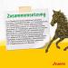 JOSERA Energy Root Plants & Vegetables 15 kg | Premium Horse Food | Premium Energy Blend | Grain Free | Ideal for Muscle Development | 15kg Bag - Buy Online on GoSupps.com