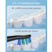 Bitvae Electric Toothbrush with Water Flosser - 4H Charge, 30 Days Use, 5 Sonic Modes, Cordless Dental Flosser Picks, 4 Brush Heads, 4 Water Jet Tips - Buy Online on GoSupps.com
