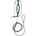 The AVIATOR Bird Harness & Leash | Made in America | Size L Green - Optimal Comfort for Your Pet Bird - Buy Online on GoSupps.com