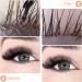 Eyelash Cleanser Concentrate 100ml Almond Professional Lash Extensions Shampoo Concentrate Natural Foaming Cleanser DIY Paraben & Sulfate Free Non-lrritating Wash for Extensions Lashes with Salon Home Care-Makes 60ml Bottles Eyelash Shampoo Almond 100ml - Buy Online on GoSupps.com