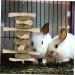 BESPORTBLE Rabbit Chew Snack for Teeth Parrots Biting Playthings Small Pet Chew Snack - Buy Online on GoSupps.com