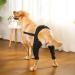 Rear Leg Knee Brace - Dog Leg Support Brace |Dog Acl Knee Brace | Canine Dog Wrist Brace Splint | Dog Hip Brace Support | Rear Leg Knee Brace | Protect Wounds | Prevent Injuries For Small Medium Dogs - Buy Online on GoSupps.com