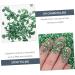 HAKIDZEL 1 Glass Chip Rhinestones for Nails Nail Art Crushed Glass Nail Sequins Ornaments Glass Chips in Bulk Resin Fillers Metal Filler DIY Epoxy Resin Nail Art Charms Nail Stone Irregular 0.5X0.3cm Green - Buy Online on GoSupps.com