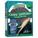 GreenWaterFarm Fairy Shrimp Sirindhornae Eggs Live Fish Food for Hatching and Culture Suitable for Feed Betta Fish