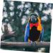 iplusmile Clothing Clothes African Clothing Pet Diapers Pet Pee Pads African Suit Bird Clothes Bird Flight Suit Parakeet Parrot Bird Pant Pet Pilot Clothing Cone Tail Pad Pet Bird Diaper Black - Buy Online on GoSupps.com