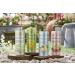 Folkingtons Gently Sparkling Lemon & Mint Presse - 12 x 250ml cans Lemon & Mint Press  - Buy Online on GoSupps.com