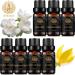 100% Pure Aromatherapy Essential Oil Set - Sandalwood Cedar Jasmine Frankincense Myrrh Patchouli & Ylang Ylang for Diffusers | International Shipping - Buy Online on GoSupps.com