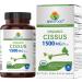 Brieofood Organic Cissus Quadrangularis 1500mg 45 Servings Vegetarian Gluten Free 90 Vegetarian Tablets 90 Count (Pack of 1)