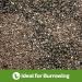 Swell Reptiles Tortoise Soil 10 Litre Bag. Burrowing Substrate For Tortoise Habitat Bedding. - Buy Online on GoSupps.com
