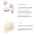 RITUALS The Ritual of Sakura Shower Oil 200 ml - Luxury Shower Experience | International Shipping - Buy Online on GoSupps.com