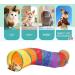 Wefine 20 Pcs Cat Toys Kitten Toys for Indoor Cats Cat Tunnel Interactive Feather Teaser Wand Ball Toy Set for Kitty and Cats - Buy Online on GoSupps.com