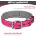 Joytale Reflective Neoprene Dog Collar for Large Dogs - Softly Padded Nylon Bright Pink (L) - 1 Pack - Buy Online on GoSupps.com