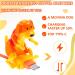 Frienda Dog Charging Cable - Cute 2-Piece USB Type C Charger for Dogs & Smartphones - Ideal for Data Transmission & Fast Charging - Buy Online on GoSupps.com