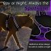 Eagloo Dog Harness for Large Dogs - Adjustable Anti-Train Control Harness with Reflex Strips Purple - Perfect for Labradors (1 Pack) - Buy Online on GoSupps.com