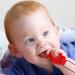 Buy Cute Dinosaur Sensory Chewing Chains | Portable Silicone Bite Chain for Kids | Red Oral Engine Chewing Toy - Buy Online on GoSupps.com