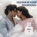 FOR-WILLS AURORA Perfume for Men Best Luxury Perfume Long Lasting Smell Branded Perfume Gift Set Premium Combo Pack Luxury Fragrance Perfect Body Spray for Men 100ML (AURORA) - Buy Online on GoSupps.com