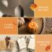 Pumpkin Pie Essential Oil 4 Fl Oz (120ml) ARVIDSSON Pumpkin Spice Fragrance Oil Fall Essential Oil for Diffusers Pumpkin Pie Oil for Candle Making Autmun Scented Oil for Home - Buy Online on GoSupps.com