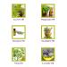 Lice Guard Gel for Kids with Tea Tree, Rosemary & Peppermint - Little Green Kids - Buy Online on GoSupps.com