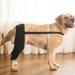 WOBBLO Support for Dog Knee Brace for Rear Leg | Pet Leg Wounds Protector Hip Joint Support Protects Wounds for Small and Medium Dogs - Buy Online on GoSupps.com