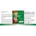 Resveratrol 500mg - 90 Vegan Capsules | High Dosage Knotweed Extract | Vitamintrend - International Shipping Available - Buy Online on GoSupps.com