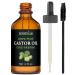 GreenIVe Castor Oil Organically Grown 100% Pure 4oz Glass Bottle Cold Pressed, Hexane Free, Eyelash and Eybrow Growth Serum, Skin Moisturizer with Eyelash Applicator and Dropper