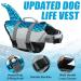 Emust Shark Wiskers for Dogs - Adjustable Ripstop Dog Life Vest with Rescue Handle Perfect for Water Safety at Pool & Beach (Large Blue) - Buy Online on GoSupps.com