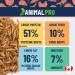 AnimalPro Mealworms 454 g (1 LB) Approx 17 000 Mealworms - Buy Online on GoSupps.com