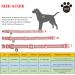YUDOTE Dog Collar Medium Strong Reflective Nylon Webbing with Soft Comfy Neoprene Padded Linning for Medium Dogs Daily Use Pink M (Pack of 1) Pink - Buy Online on GoSupps.com