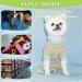 Tony Hoby Dog Suit for Men & Women | Striped Cotton Overall for XS Dogs - Cozy Sleepwear in Green & Blue - Buy Online on GoSupps.com