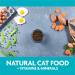 Evolve Grain-Free Ocean Whitefish and Egg Cat Food - Premium Recipe for Healthy Cats - Buy Online on GoSupps.com
