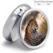 Round Leopard Print Pill Box - 3 Compartment Portable Medicine Organizer | Decorative Metal Pocket Pill Case - Buy Online on GoSupps.com