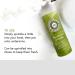 Honeybee Gardens Deodorant Powder - Aluminum & Talc Free - 4 oz/114 g - Buy Online on GoSupps.com