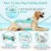 Hjyokuso Dog Cooling Vest - Summer Cooling Jacket for Small Medium & Large Dogs | Perfect for Outdoor Activities & Training | L Blue - Buy Online on GoSupps.com
