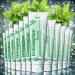 Calmoseptine Ointment 4 oz Tube (Pack of 12) - Baby Diaper Rash Cream Ointments for Butt rash Calmoseptine Ointment for heat Rashes and Itching Relief Effective Diaper Rash Cream for Adults and Kids