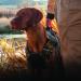 Browning Camo Neoprene Dog Vest | Realtree MAX-5 | Size Medium Realtree MAX-5 Medium - Buy Online on GoSupps.com