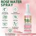 Rose Water Spray Scalp Moisturize Rose Water for Hair Refreshing- Rose Mist for Braid Locs Twist Dreadlock Rose Spray Medium Bristles for Thick Coarse Detangling Smoothing Wave Styles Set 3.4 floz - Buy Online on GoSupps.com