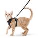 Rabbitgoo cat dishes with leash black soft harness for cat breastware cat harness cat sets out of breakout.