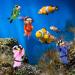 Taicols 4-Piece Floating Aquarium Decoration | Fish Tank Ornaments & Accessories | Unique Divers Ornament for Stunning Aquariums - Buy Online on GoSupps.com