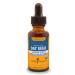 Herb Pharm Certified Organic Alcohol-Free Oat Seed Glycerite for Nervous System Support - 1 Ounce 1 Fl Oz (Pack of 1) Alcohol-free Glycerite