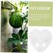 OSALADI Plant Plastic Fruit Clear Fruit Yard Fruit Fruit Forming Heart-Shaped Pumpkin - Buy Online on GoSupps.com