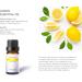 Citrus Essential Oil Set - Pack of 6 Pure Therapeutic Grade 10ml Oils | Lemon Grapefruit Sweet Orange Lime Bergamot & Petitgrain - Buy Online on GoSupps.com