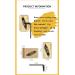 Shop Soap Brows Kit: Durable Waterproof Eyebrow Gel & Pomade for Natural Brow Styling - Buy Online on GoSupps.com