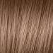 L'Oreal Paris Feria B61 Downtown Brown Hi-Lift Cool Brown Hair Color - Pack of 1 - Buy Online on GoSupps.com