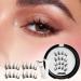 DASHIELL False Eyelashes Magnetic | No Glue Needed Eyelashes Kit With Applicator | Easy To Apply Lightweight Reusable No Glue Needed Lashes For All-Day Comfort - Buy Online on GoSupps.com